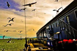 网站ddos隐藏源ip