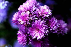 哪买最实惠的安卓ddos攻击工具